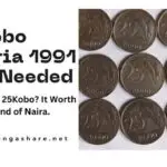 25 Kobo Nigeria 1991 Coin Needed