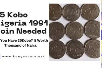 25 Kobo Nigeria 1991 Coin Needed